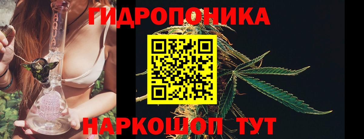 Иваново  Конопля THC 21%  Канабис сатива  Канабис семена  Вход с VPN 
